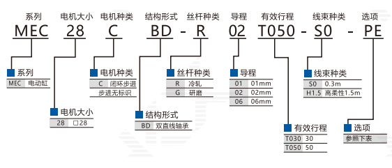 MEC28-1.jpg