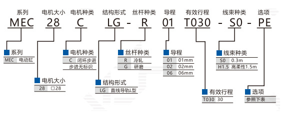 MEC28-2.jpg