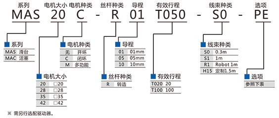 MAS20-1.jpg