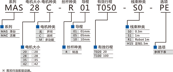 MAS28-1.jpg